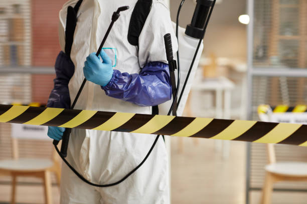 Professional Hoarding Cleanup technician working in River Edge, NJ